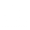 Cyber Reports